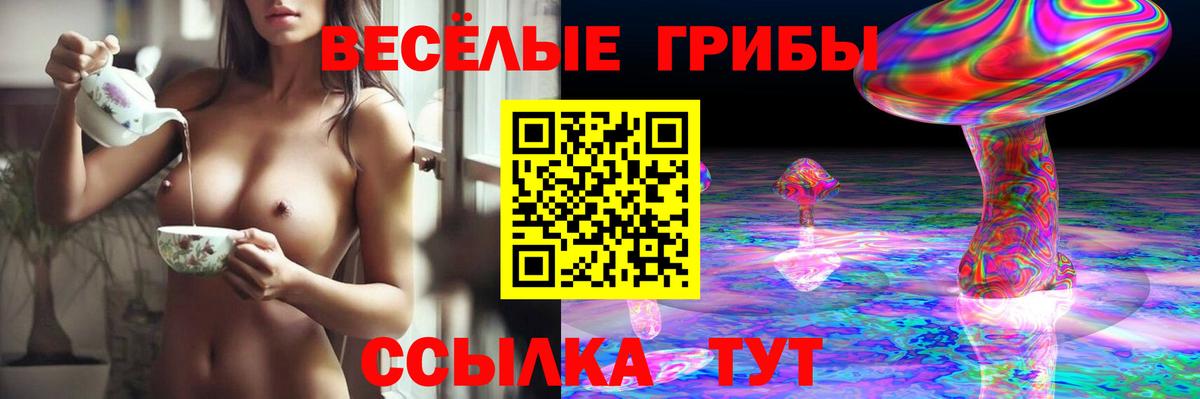 Мурманск  Галлюциногенные грибы GOLDEN TEACHER  Вход с VPN 